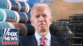 Oil leader sends stark warning over US’ emergency oil reserve: ‘We are at a 30-year-low’