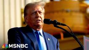 Critics sound the alarm over the possibility of a second Trump term