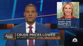 Markets' year-end rally will carry into 2024, says Mary Ann Bartels