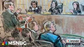 Katie Phang: 'By taking on Trump, these lawyers are forever tainted'