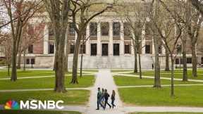 'The future of DEI is at risk here': DEI under attack after Harvard president’s resignation