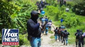 These cartels are making $32 million ‘A WEEK’: GOP lawmaker