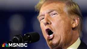 As Republican sounds alarm on Russian threat, GOP makes excuses for Trump attacks on NATO