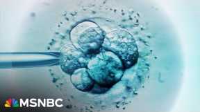 'It's going to make a big difference': Jennifer Palmieri on how IVF will impact 2024