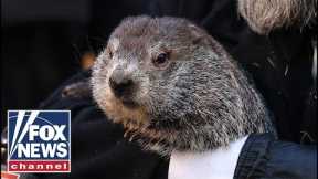 Live: Punxsutawney Phil makes his debut on Groundhog Day 2024