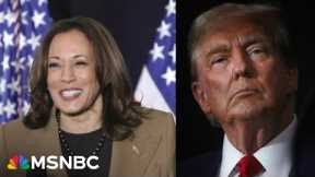 VP Harris slams Trump as 'architect of this health care crisis' 