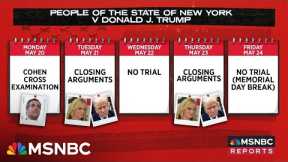 ‘A very good witness’: Investigative journalist reflects on Michael Cohen’s testimony so far