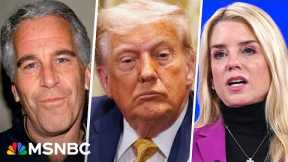 GOP trying to make Epstein files fallout look like a 'Democratic witch hunt'