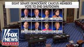 BREAKING: Eight Democrats break with party to advance plan to end shutdown