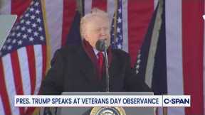 President Trump Remarks on Veterans Day