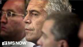 'Just release EVERYTHING!' Former Epstein girlfriend RIPS Trump's efforts to block Epstein files