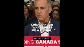 Canadian PM explains what 'makes' him a liberal as tariffs loom