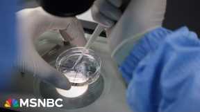 'Science fiction gone bad.' Execs quietly compete to create genetically engineered baby, WSJ reports