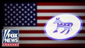 Democratic strategist has a message for fellow party members