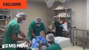 MS NOW EXCLUSIVE: CEO of Doctors Without Borders talks Israel banning aid organizations from Gaza
