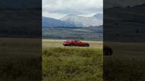  When the #FerrariPurosangue arrives, the road takes notice. #Ferrari 