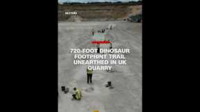 720-foot dinosaur footprint trail unearthed in UK quarry