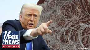 Shocking new border stat from Trump admin: ‘TRULY ASTONISHING’