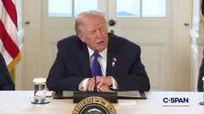 President Trump on Woman Shot in Minnesota She was an agitator probably a paid agitator.