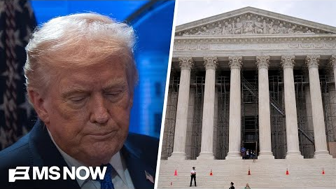 SCOTUS tariff decision is ‘political GOLD’ for Democrats against Trump: Strategist