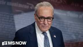 End roving patrols, no secret police: Sen. Schumer details Democrats' proposed changes for ICE, DHS