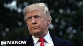 Ex-federal workers seek office to stand up Trump amid his ‘grave’ threat to America