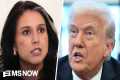 Trump gives new reason why Gabbard