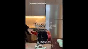 Why Gen Z Americans are 'becoming Chinese'