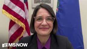 “People are DISGUSTED”: What one Democrat saw at No Kings Day