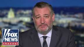 Sen Ted Cruz: Trump hatred has driven Dems to 'CRAZYTOWN'
