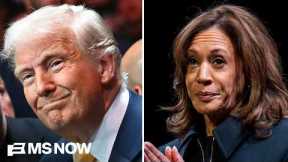  ‘INDEFENSIBLE’: Fmr. Harris-Walz campaign staffer BLASTS DNC’s 2024 autopsy report 