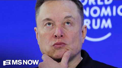 'No one elected Elon': Musk reportedly plans midterms money dump despite damaged image
