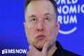 'No one elected Elon': Musk