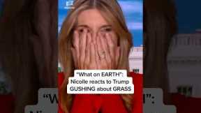 What on EARTH: Nicolle reacts to Trump GUSHING about GRASS