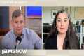 Dan Harris: AI insiders are sounding