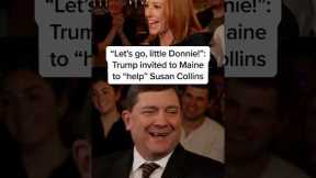 'Let’s go, little Donnie!': Trump invited to Maine to 'help' Susan Collins